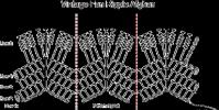 Афганский плед крючком: схема с описанием этапов выполнения Вязание афганского цветка крючком для пледа